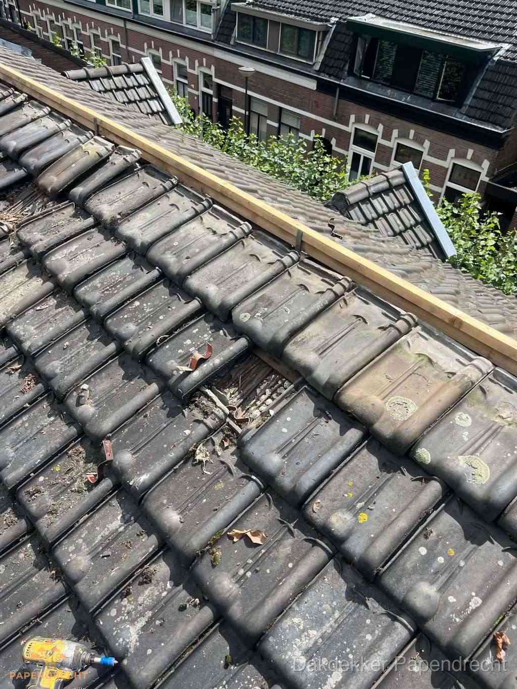 Dakonderhoud Papendrecht Dakonderhoud Papendrecht