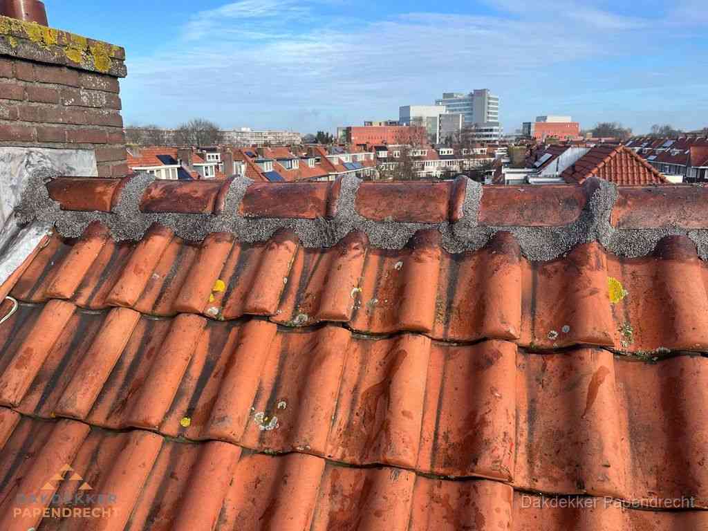 Papendrecht Daken Renoveren Papendrecht Daken Renoveren